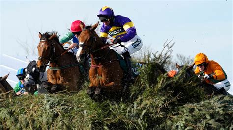 grand national places|Grand National 2023 result: Where your horse finished .
